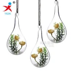new style hanging glass vase ceiling drop ball water shape flower vase