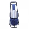 New style rolling plastic cart canvas mini folding shopping trolley