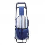 New style rolling plastic cart canvas mini folding shopping trolley