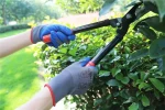 NMSHIELD Crinkle Latex Polyester Gloves for Agriculture Garden Gloves Working Safety Industrial Safety Gloves