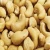 Import Organic Cashew Nuts &amp; Kernels ww240, ww320, ww450, SW240 from South Africa