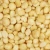 Import Organic Certified Macadamia Nuts High Quality from Brazil