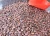 Import organic cocoa beans on sale in bulk and wholesale origin of uganda africa quality fermented from Uganda
