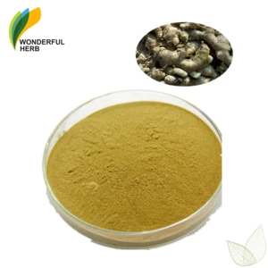Organic ginger extract 6-gingerol price zingiber cassumunar powder