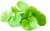 Import Organic solvent extraction extraction type centella asiatica glycoside from China