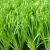 Import Outdoor soccer artificial grass for sale cheap sports floor artificial turf grass and football field turf artificial turf school from China