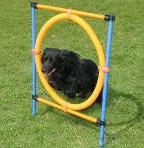 Pet Dogs Outdoor Games Agility Exercise Tools Dog Agility Jump Training