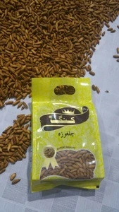 Pine Nuts Rosted InShell