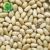 Import pine nuts siberian pine nut kernels china new pine nuts kernels grade from China
