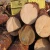 Import PINE SPRUCE BIRCH OAK ASH LOGS/TIMBER and eucalyptus timber wood logs/crude wood from Denmark