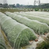 Plants Protection Anti Hail Net/Greenhouse Insect Proof Mesh/Agricultural Plastic Products Anti-Bee netting