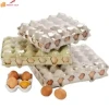 POF Factory Hot Perforated Polyolefin Shrink Film for Food Packaging Eggs