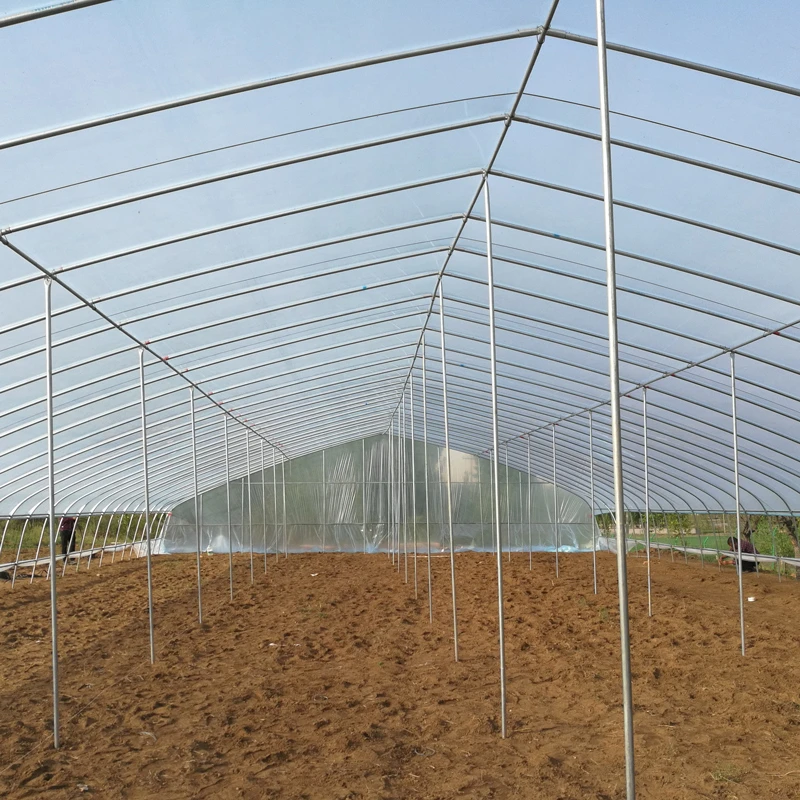 POLY034 Transparent Plastic Tube Greenhouse Stable Structure Shed Film Vegetables, Fruits, Flowers, Seed Planting Green House