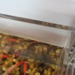 Popular Small Clear Desktop Rectangular Water Plant Tank  Acrylic Fish Tank Acrylic Aquarium Tank in Office or Home