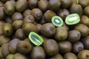 Premium Quality Fresh Kiwi Fruits