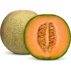 preorder available fresh muskmelon fruits honeydew hami melon