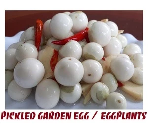 Preserved Egg plant, Garden Egg - Pickled Vegetable Origin Vietnam