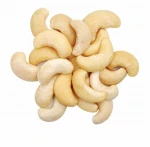 Processed Cashew Nut Sell Vietnam Bag Crop Style Good Packaging Prompt Raw Origin Vacuum Type Quality High Dried Grade Price Tin