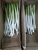 Import Pure natural organically grown green scallions with competitive price from China