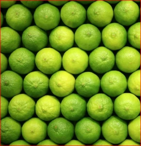 Quality Fresh lime