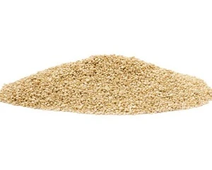 Quinoa Grains