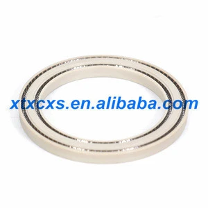 Radial PTFE based Multi-lips Cantilever Spring Energized Seals with T support form xingtai seal