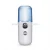 Import Rechargeable Mist Nano Facial Steamer Sprayer Skin Moisturizing Device from China