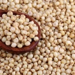 Red And White Sorghum For Sale / Sorghum Flour White / Sorghum grains