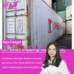 shenzhen Guangzhou Ocean shipping sea freight forwarder to shipping to Mexio by sea