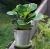 Import Small Metal Bucket Planter/ Galvanized Steel Mini Metal Pail/Garden Decorations from China