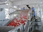 Small Traditional Process Machine for Make Tomato Sauce Puree Paste from China
