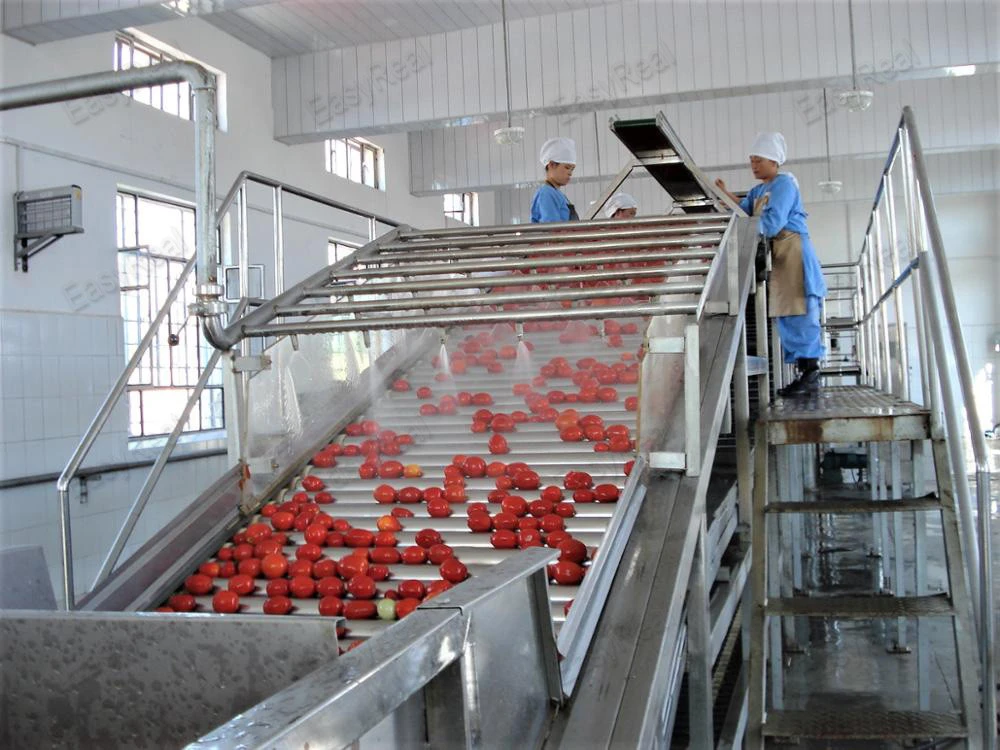 Small Traditional Process Machine for Make Tomato Sauce Puree Paste from China