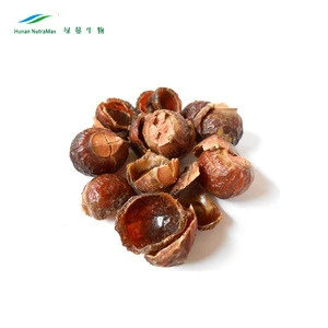 Soap Nuts Extract, Soap Nuts Extract Powder, Soap Nuts P.E.