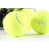 Sporting Practice Tennis Ball 12pk