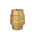 Import Stainless Steel Brass Spring Check Valve (VG12.90081) from China