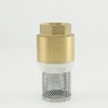 SUS Filter For Check Valve 1/2 &quot;  Brass Valve