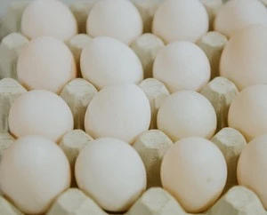 Table White Chicken Eggs Cheap Prices