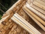 Tablones de Madera de Balsa. Madera de alta calidad originaria de Ecuador.