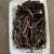 Import the best paulownia elongata root stem for planting from China