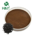 The tea black black tea bulk instant black tea powder