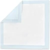 Thicker Heavy Absorbency Pet Training Puppy Pee Pads - Extra Large Disposable Polymer Quick Dry No Leaking Pee Pads for Dogs