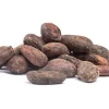 Top Quality West African Roasted Cocoa Beans