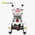 Import Tricycle 60V 650W EEC electric motorcycle  M302 from China