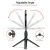 Import Us Free Shipping photographic lighting white+warm tiktok ring light aro de luz led para maquillar ring light with tripod stand from China