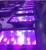 Import UV Ultraviolet Blacklight IP65 Waterproof LED UV Flood Light from China