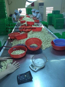 Vietnam Dried Cashew Nuts W320