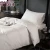 Import Warm High End Twin Size Quilt Filling Feather Bed Set Duvet from China