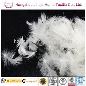 washed 2-4cm white goose feather