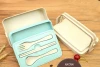 Wheat straw double layers lunch box with tableware