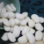 Import White Kidney Beans Long shape Big White Kidney Beans from China